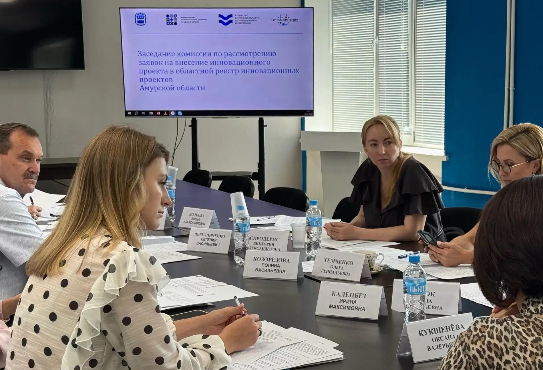 Ещё два инновационных амурских проекта войдут в областной реестр